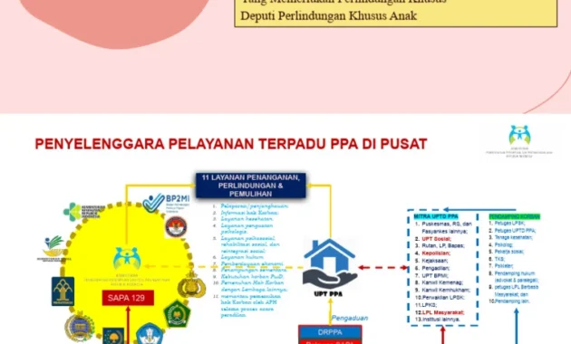 TRC PPA Ingatkan Risiko Besar Hak Asuh Anak yang Salah Putus