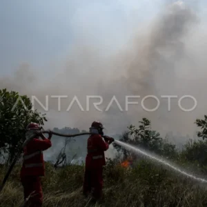 Upaya Pemadaman Kebakaran Lahan di Indralaya Utara