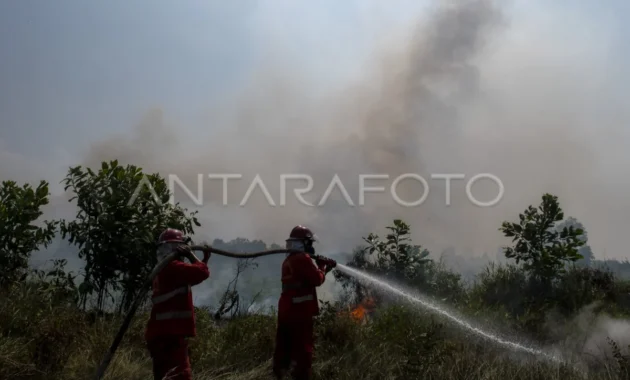 Upaya Pemadaman Kebakaran Lahan di Indralaya Utara