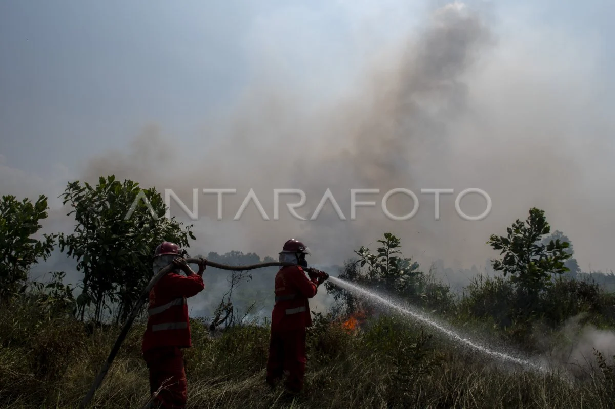 Upaya Pemadaman Kebakaran Lahan di Indralaya Utara
