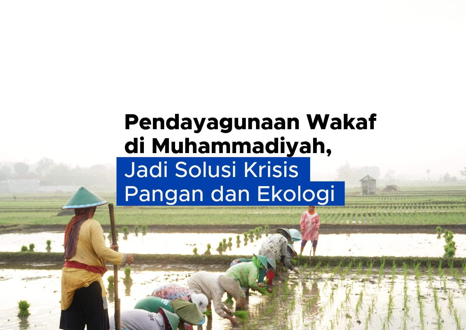 Wakaf Produktif: Solusi Penyelamat Rakyat di Tengah Krisis BBM