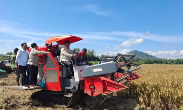 Wamentan Sudaryono Tegaskan RI Stop Impor Beras, Jagung, dan Gula Demi Swasembada Pangan