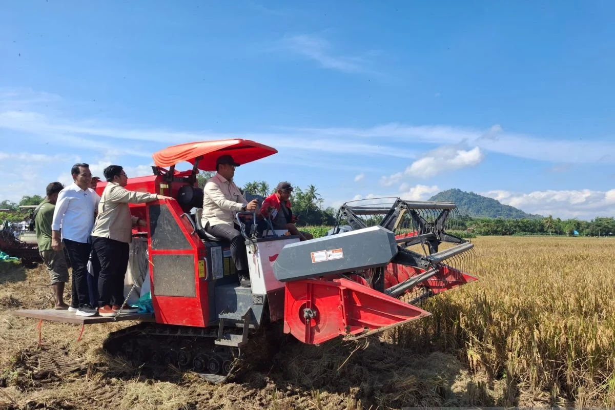 Wamentan Sudaryono Tegaskan RI Stop Impor Beras, Jagung, dan Gula Demi Swasembada Pangan