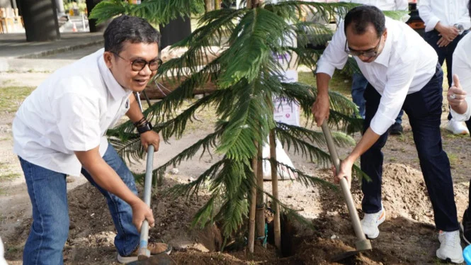 Wapres Dukung Pembangunan Katedral Asmat Lewat Penanaman Cemara