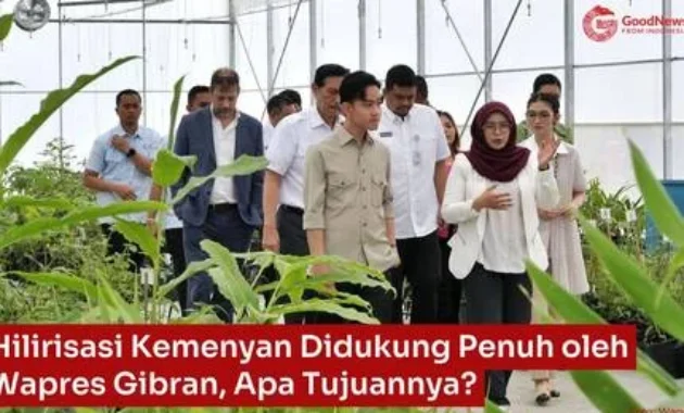 Wapres Gibran Dukung Penuh Hilirisasi Sagu Asmat, Dorong Ekonomi Lokal dan Ketahanan Pangan Wapres Gibran Dukung Penuh Hilirisasi Sagu Asmat, Dorong Ekonomi Lokal dan Ketahanan Pangan