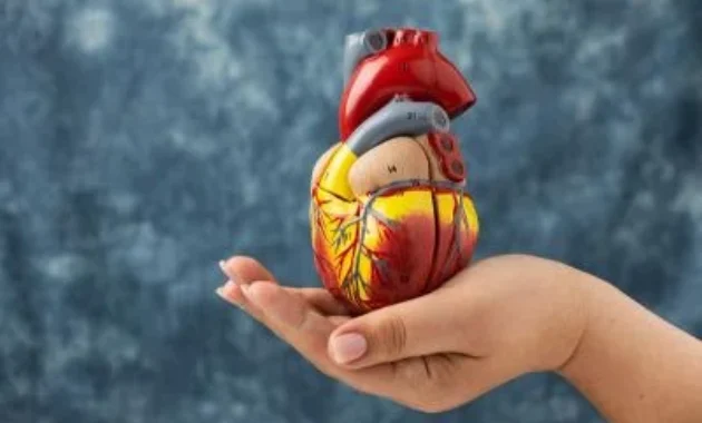 Alasan Pasang Ring Jantung Belum Tentu Jadi Solusi, Ini Kata Dokter