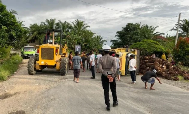 Antrean Sawit Makin Membludak di Mamuju Tengah, Mencapai Jalan Trans Sulawesi Antrean Sawit Makin Membludak di Mamuju Tengah, Mencapai Jalan Trans Sulawesi