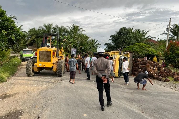 Antrean Sawit Makin Membludak di Mamuju Tengah, Mencapai Jalan Trans Sulawesi