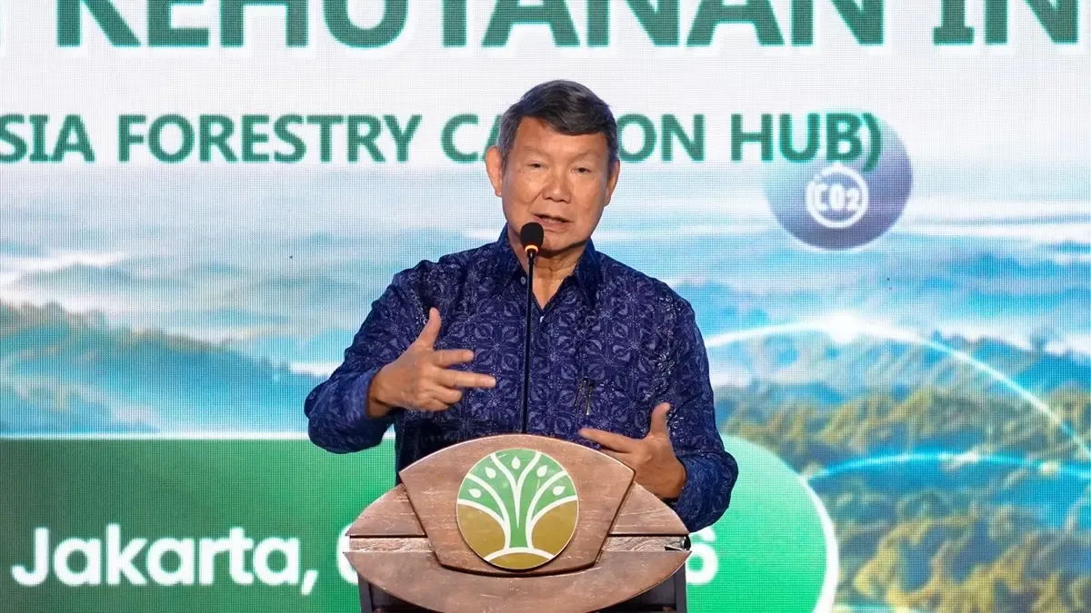 Carbon Trading Hutan Dimulai, Program Pemerintah Paling Berhasil Menurut Hashim Djojohadikusumo
