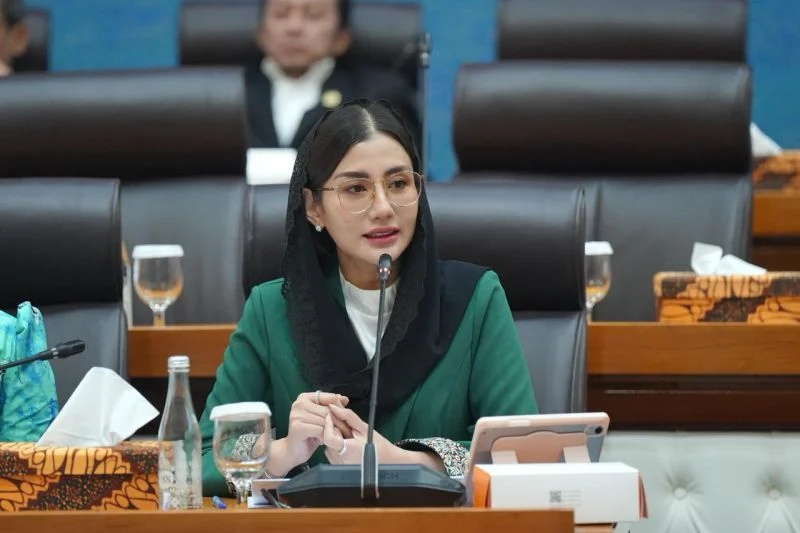 DPR Minta Pemerintah Perkuat Regulasi Perlindungan UMKM Era Digital