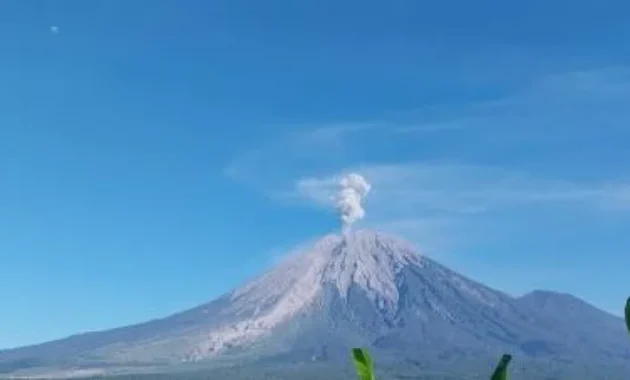 Gunung Semeru Kembali Meletus, Muntahkan Abu Vulkanik Setinggi 1.000 Meter Gunung Semeru Kembali Meletus, Muntahkan Abu Vulkanik Setinggi 1.000 Meter