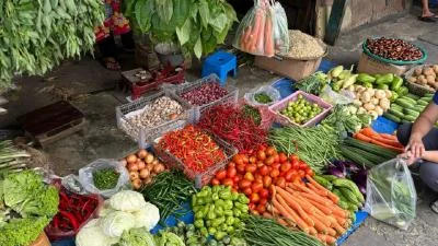 Harga Beras, Cabai, dan Minyak Goreng Makin Mahal, Ini Daftar Lengkapnya