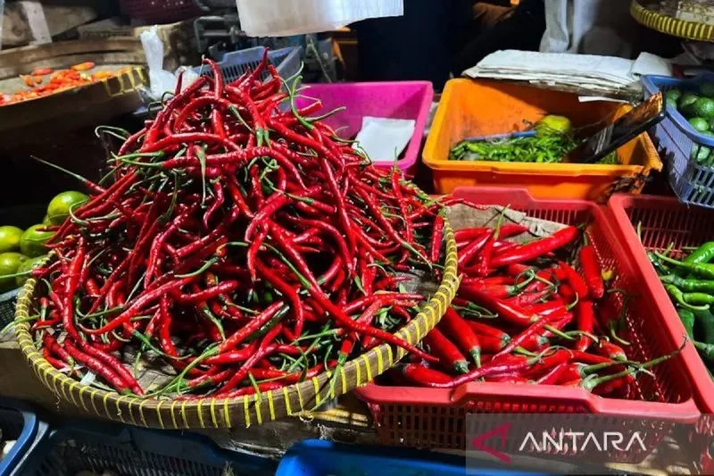 Harga Cabai Rawit dan Telur Ayam di Pasar