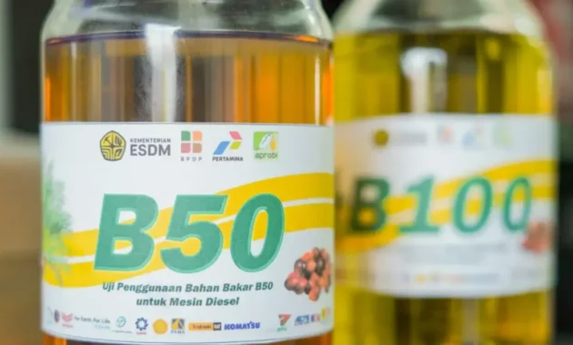 Indef: Kunci Keekonomian B50 Terletak pada Selisih Harga Antara CPO dan Diesel