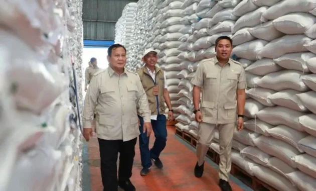 Indef: Rencana Ekspor Beras ke Singapura Peluang Serap Surplus RI