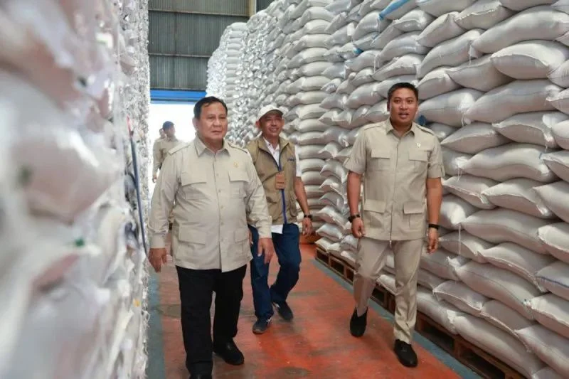 Indef: Rencana Ekspor Beras ke Singapura Peluang Serap Surplus RI