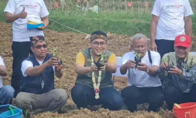 Kadin Jatim Desak RPMK Perhatikan Keberlanjutan Industri Tembakau Kadin Jatim Desak RPMK Perhatikan Keberlanjutan Industri Tembakau