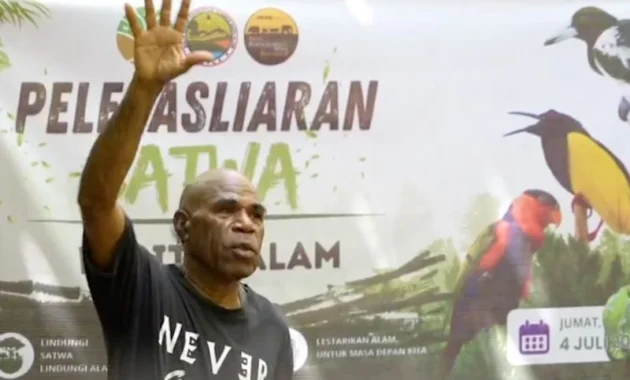 Karantina Papua Lepas Liar Belasan Flora dan Fauna Langka ke Hutan Karantina Papua Lepas Liar Belasan Flora dan Fauna Langka ke Hutan