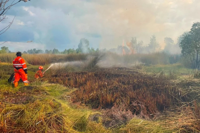 Karhutla Melanda 2 Wilayah, BNPB Catat Banjarbaru Terparah dengan 3,7 Hektare Terbakar