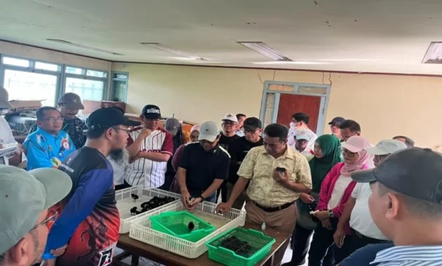 Kementan Dukung Pengembangan Ayam ALOPE UNHAS-1 dengan 5.000 Indukan