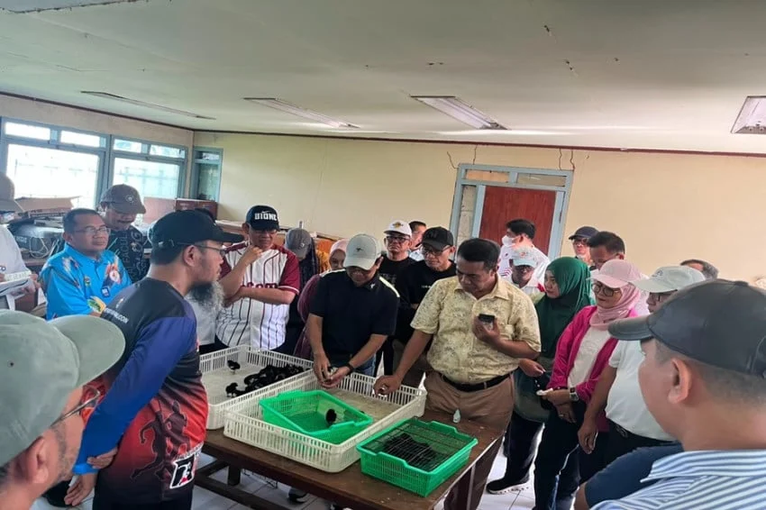 Kementan Dukung Pengembangan Ayam ALOPE UNHAS-1 dengan 5.000 Indukan