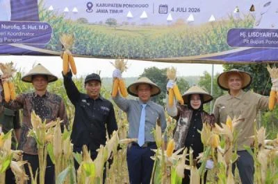 Kolaborasi Pemerintah Swasta dan Petani Tingkatkan Produktivitas Jagung