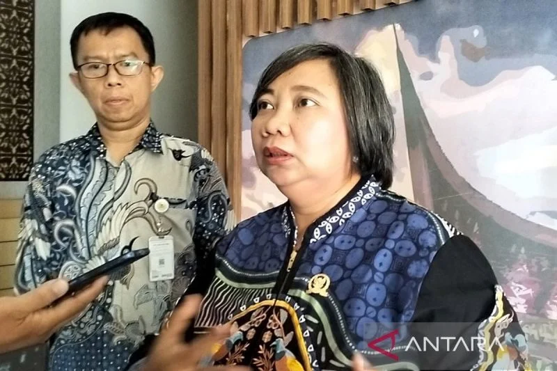 Komnas HAM Dorong Investigasi Kasus Ibu Hamil Tewas Tertembak di Papua