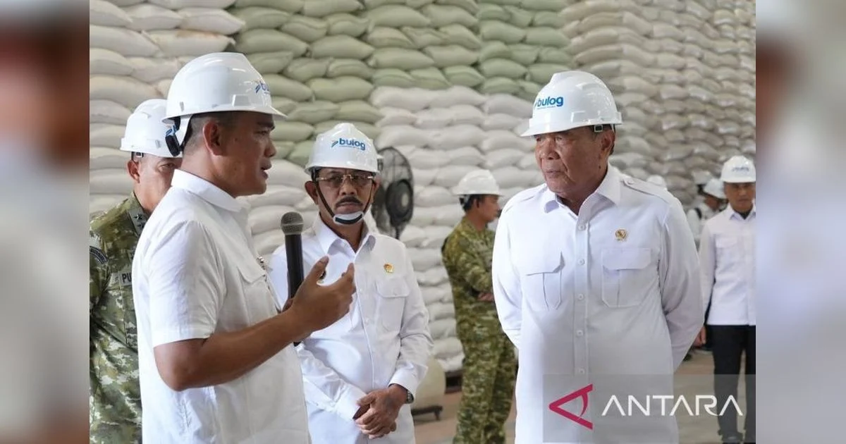 Menko Polkam Pastikan Stok Beras Sumut Aman, Perkuat Ketahanan Pangan Nasional