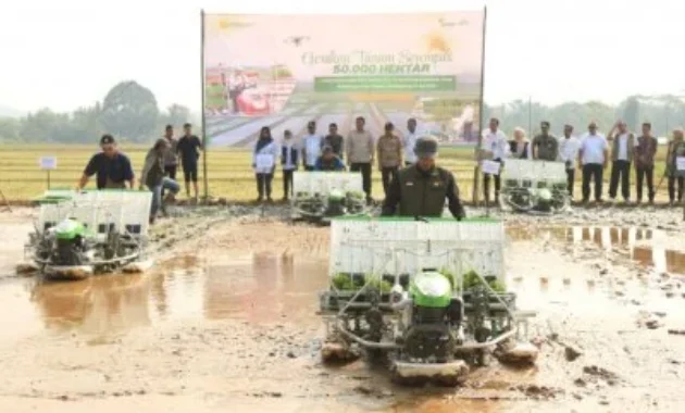 Pandeglang Ujung Tombak Produksi Padi Banten Pandeglang Ujung Tombak Produksi Padi Banten