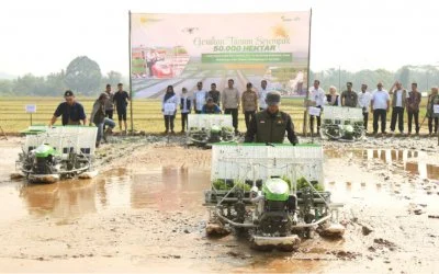 Pandeglang Ujung Tombak Produksi Padi Banten