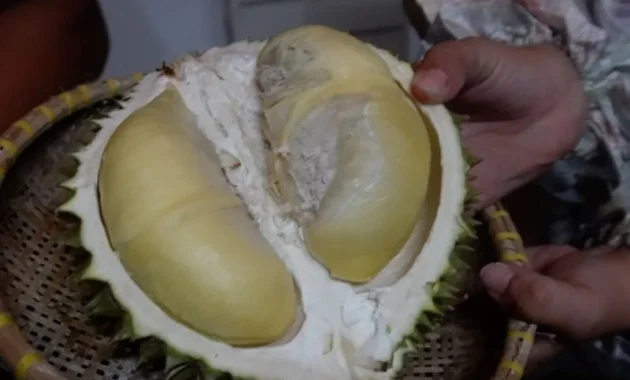 Pangkalpinang Gelar Bazar Cumasi Durian untuk Promosikan Buah Lokal