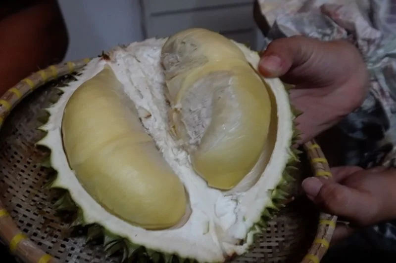 Pangkalpinang Gelar Bazar Cumasi Durian untuk Promosikan Buah Lokal