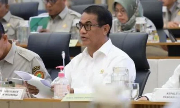 Pemerintah Gelontorkan Rp1,3 Triliun untuk Perkuat Lumbung Pangan Indonesia Timur