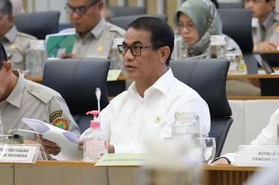 Pemerintah Gelontorkan Rp1,3 Triliun untuk Perkuat Lumbung Pangan Indonesia Timur