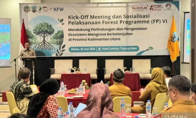 Pemerintah Indonesia Jalin Kerja Sama Internasional untuk Rehabilitasi Mangrove Pemerintah Indonesia Jalin Kerja Sama Internasional untuk Rehabilitasi Mangrove