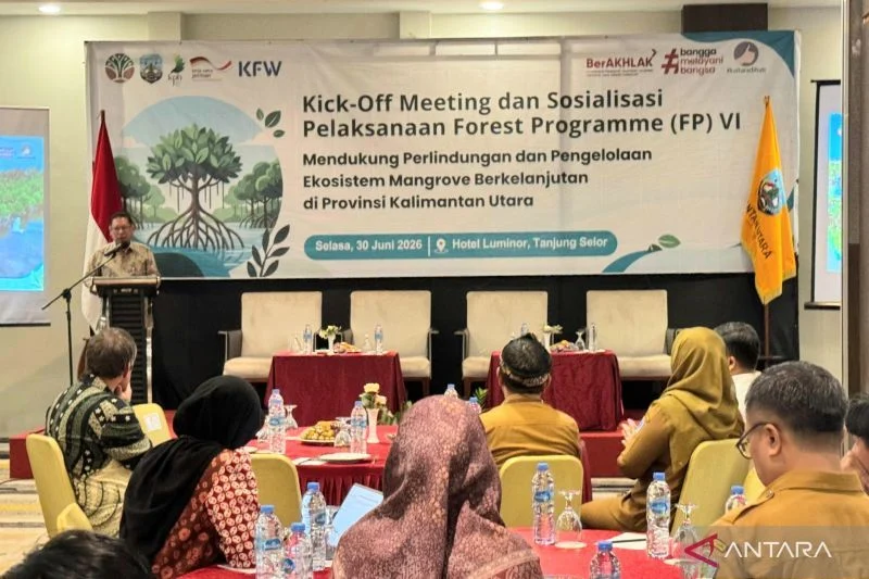 Pemerintah Indonesia Jalin Kerja Sama Internasional untuk Rehabilitasi Mangrove
