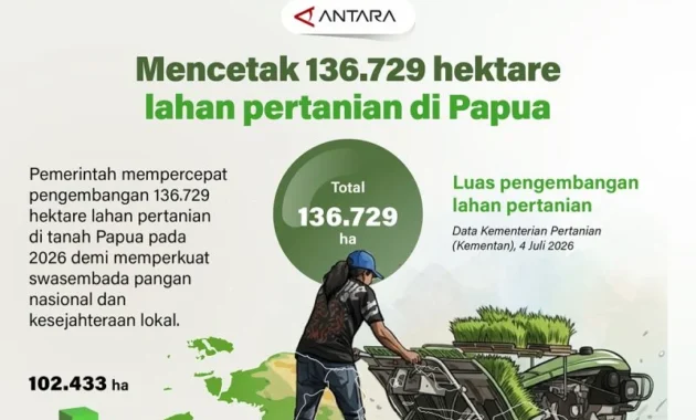 Pengembangan Lahan Pertanian di Papua 2026 Pengembangan Lahan Pertanian di Papua 2026