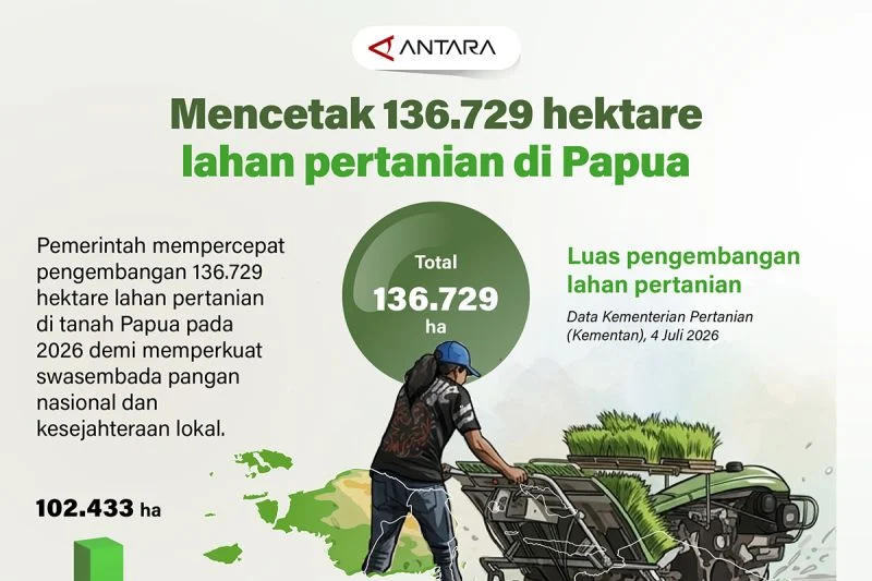 Pengembangan Lahan Pertanian di Papua 2026