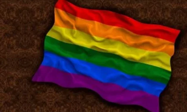 Perpres LGBTQ: Apa Isinya dan Mengapa LGBTQ Bisa Terjadi? Perpres LGBTQ: Apa Isinya dan Mengapa LGBTQ Bisa Terjadi?