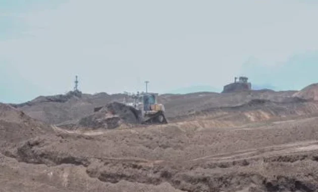 RI Punya Potensi Besar Bioenergi Didorong Jadi Motor Diversifikasi Energi Nasional