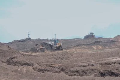 RI Punya Potensi Besar Bioenergi Didorong Jadi Motor Diversifikasi Energi Nasional