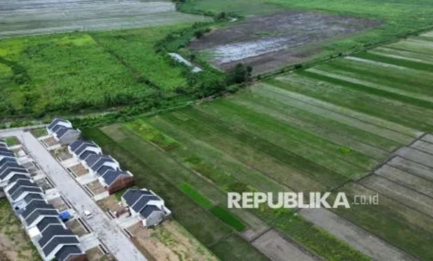 Sawah, Investasi Kehidupan