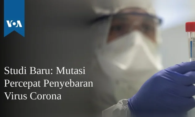 Studi: Virus "bersahabat" dapat percepat pembersihan polusi